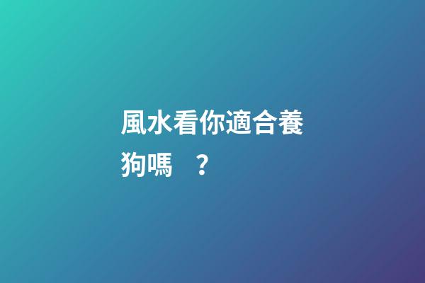 風水看你適合養狗嗎？